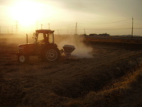 ٤Ƥͭܤۤ褦䤯λޤ 