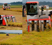 ���̺����ƥ����ҥ���ΰ𴢤� 