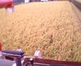 ���Τ��ơؤ��Ҥ����� 