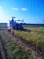 ���äƤⴢ�äƤ⽪���ޤ���(��)�� 