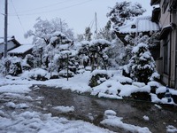 ����ˤʤ�ޤ����� 