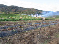 �������äѤ������� 