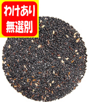 ��櫓����� ���㸩���ֹ��ơ������餵���� 