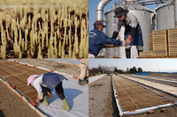 ȯ���Ĥ�������¤٤� 