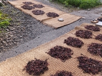 ����ޤ��δ����Ľ��ޤ��� 