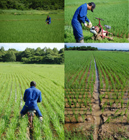 �����ơʹ��ڤ�� 