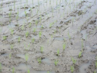 �ݥåȼ��ĤǤ��� 