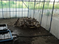 ����ο��� 