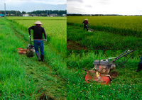 �������𴢵��Ǥ��𴢤� 