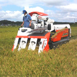 �𴢤�Ϥޤ�ޤ������� 