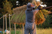 ���ƤΤϤ��ݤ� 