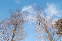 �Ķ����� 