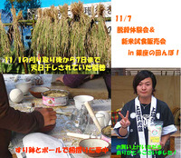 11/7��æ���θ�������ƻ�����in ��¤��Ĥ�ܡ� 