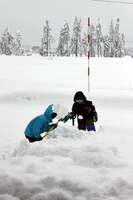 �����㤬��̣�������ƺ��ˤϷ礫���ޤ��� 