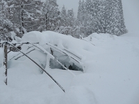 �̿�����˸�����Τ��ϥ����ι��ȤߤǤ� 