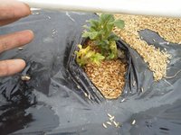 ���㥬������դ��лϤ�ޤ��� 