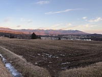 ��ǯ��Ȭ���� 