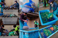 ���ߤβ������ 