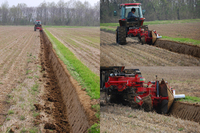 �����ɤ� 