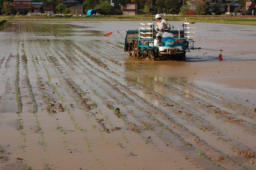 �Ŀ������� 