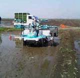 ���֤ǥ֥��֥����碌�ޤ��衪(���) 