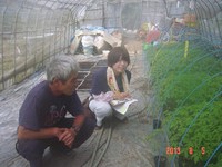 �ʣ���������Τ��ȥޥȤ������ѻ� 