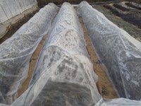 �̤ͤ��˥ѥ��ѥ��򤫤��� 