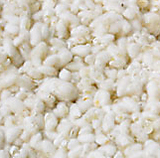 ����������Ρ��ƹ��� 