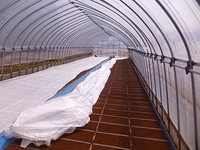 ��Ȣ���¤٤ơ���˥����Ȥ�ݤ��ޤ��� 