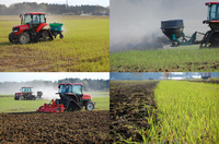 �����򻵤��ʸ���� 