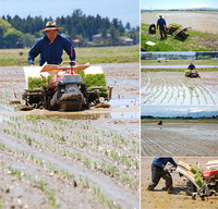 4�򿢤���Է��Ŀ����Ǥ��Ŀ��� 