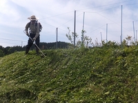 ���̤����档 