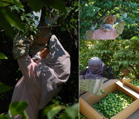 �ߤμ¤μ��� 