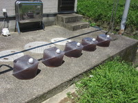 ���������ۤ��᤯�ž��ޤ��� 