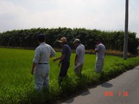 �����۾�κ��ݾ�����ǧ 