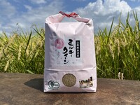 JASͭ�����ݥߥ륭������������5?