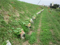 �ޤ�������Ƭ����Ƥ��ޤ����� 