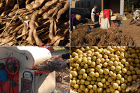 ��Ʀ�ֽ�����Ʀ�פ�æ�� 