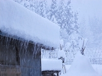 �⤦��������ߤ������ʡ� 