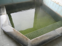 ���ϲ������ĳ�ι�ۤ��򡢤ۤ�Τ��п� 