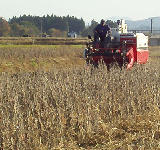 ��Ʀ�δ����� 