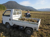 �������夤���ڤϤ��ʤ�Ť��� 