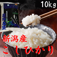 ֥ҥ꣱ס㻺ָơ̲ʡ