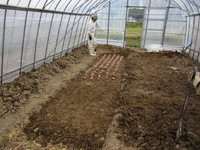 ��������Ȱ�Ǽ���� 