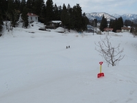 �̿������椢����ι����ݥĥݥĤ�©��ã 