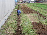 ɴ�������Ͼ��� 