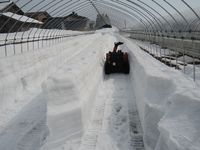 ����Ϥ����� 