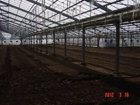 ���줤�����դ����ϥ����� 