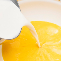 ��ʴ�ץ����