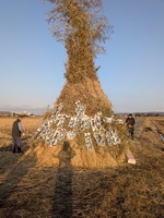 ̵��©�ҡ�˭���Τ����ο� 